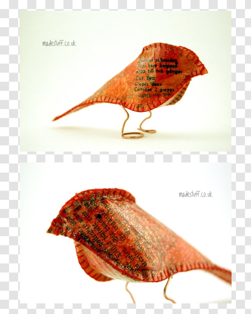 Beak Advertising - Fauna - Pigeon Picture Material Transparent PNG