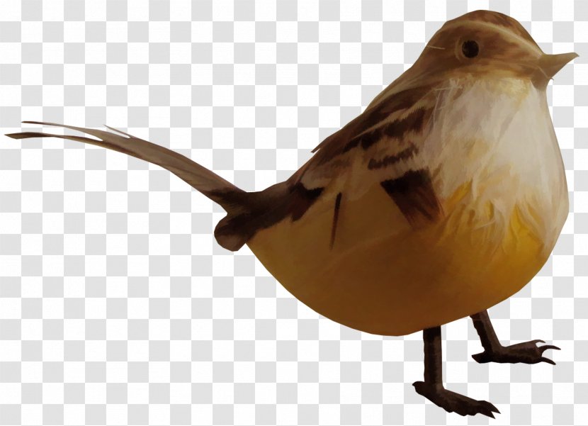 House Sparrow Bird Common Nightingale - Eurasian Tree - Golden Birds Transparent PNG
