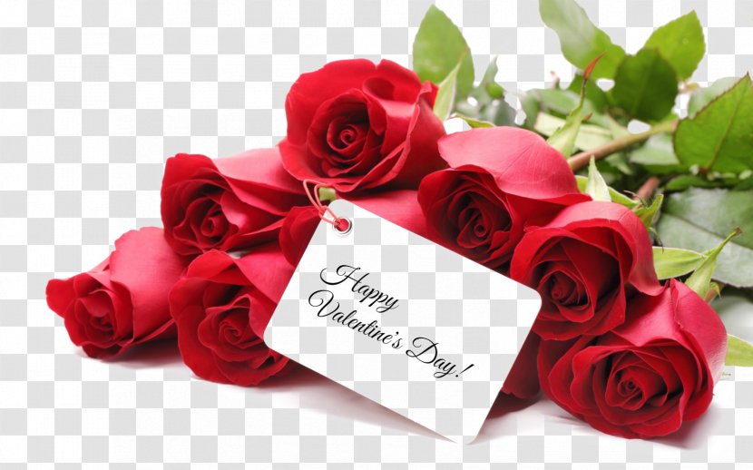 Valentine's Day Gift Rose 2018 February 14 - Flower Arranging Transparent PNG