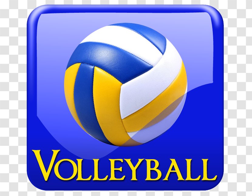 Sport Volleyball Volleyfest Head Basketball - Ball - Match Transparent PNG
