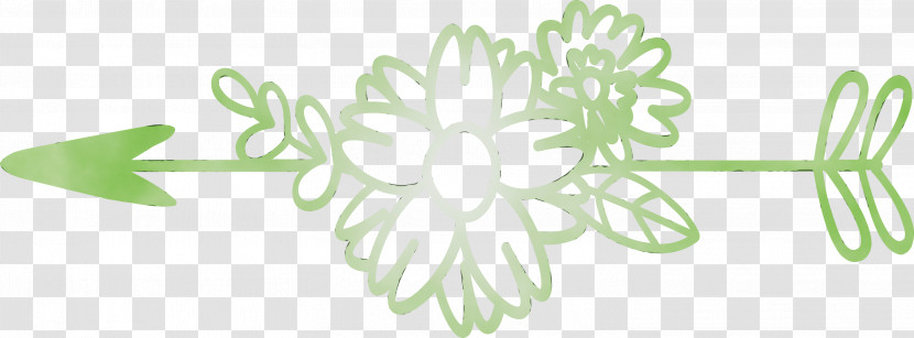 White Green Leaf Line Art Plant Transparent PNG