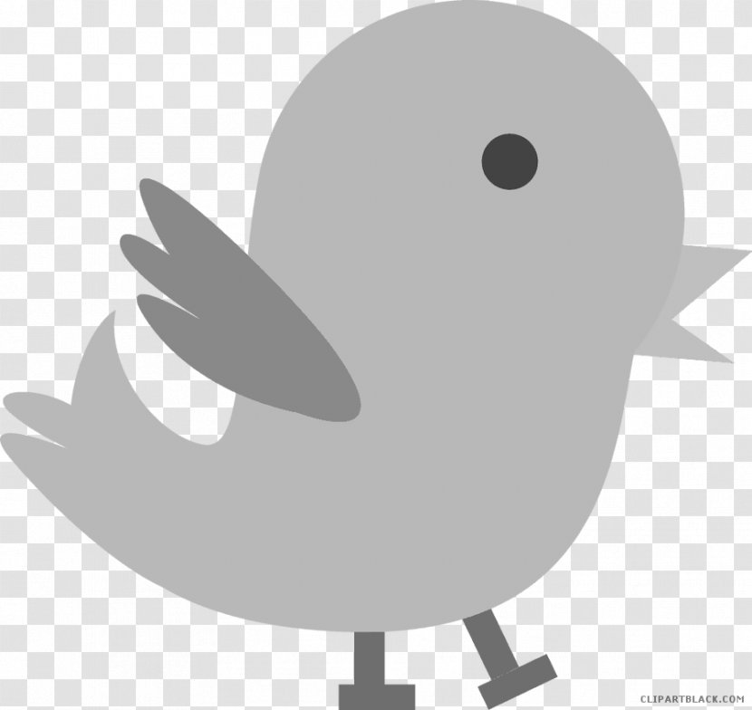 Bird Clip Art Duck Image - Black And White Transparent PNG