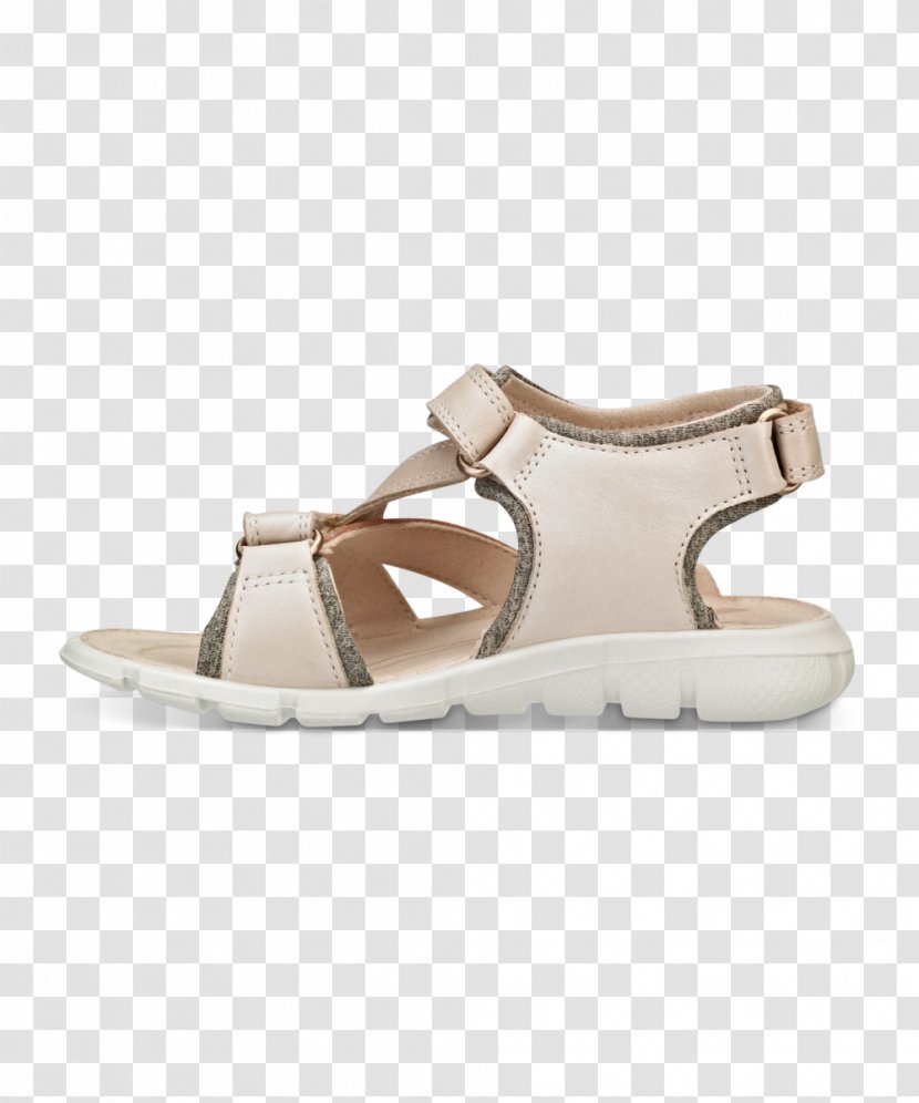Slide Sandal Shoe Walking - Footwear Transparent PNG