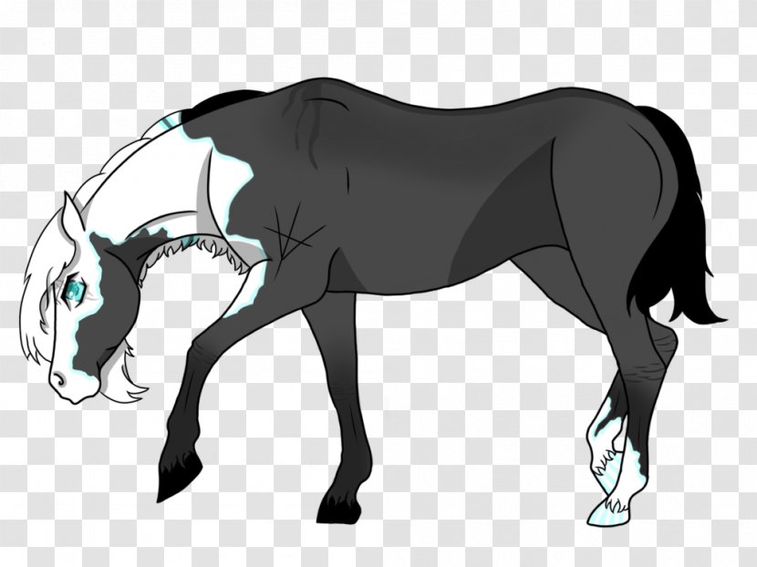 Mane Stallion Mustang Mare Rein - Horn Transparent PNG