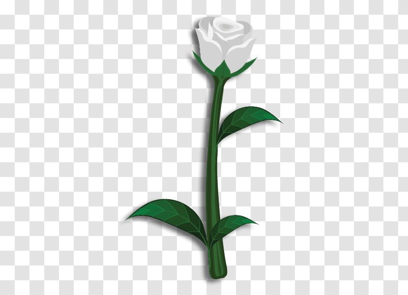 Cut Flowers Rose Theta Phi Alpha Lily Transparent PNG