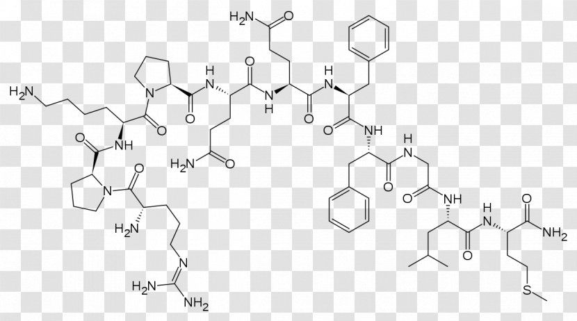 Substance P Tachykinin Peptides Neuropeptide Neurotransmitter Receptor - Amino Acid - Biogenic Transparent PNG