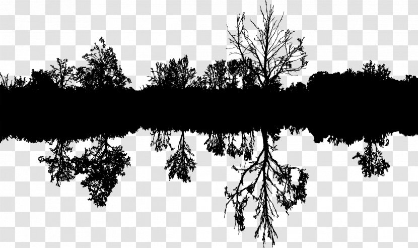 Landscape Painting Silhouette - Symmetry - Tree Transparent PNG