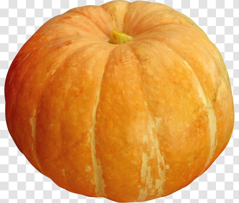 Pumpkin Gourd Winter Squash Cucurbita Vegetarian Cuisine Transparent PNG
