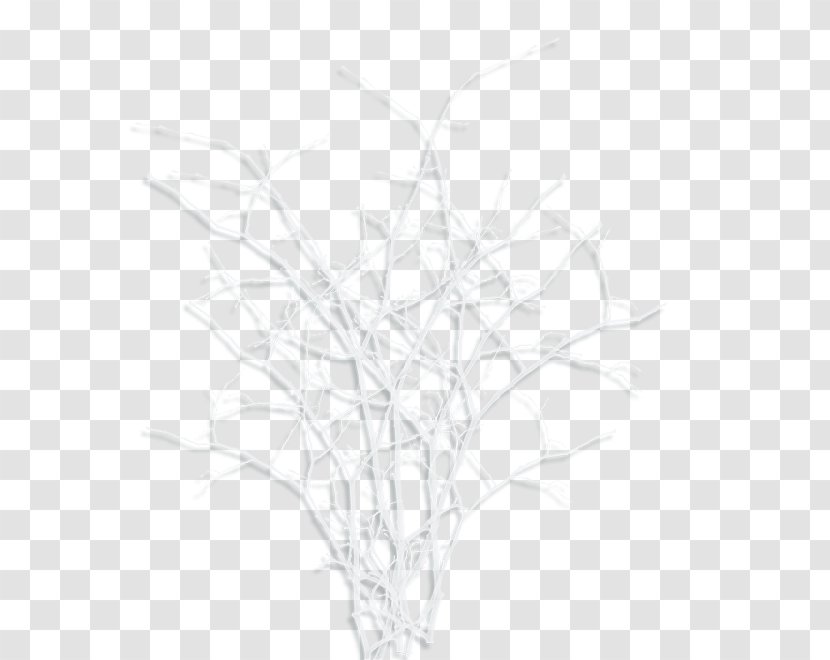 Twig Drawing White /m/02csf Line Transparent PNG