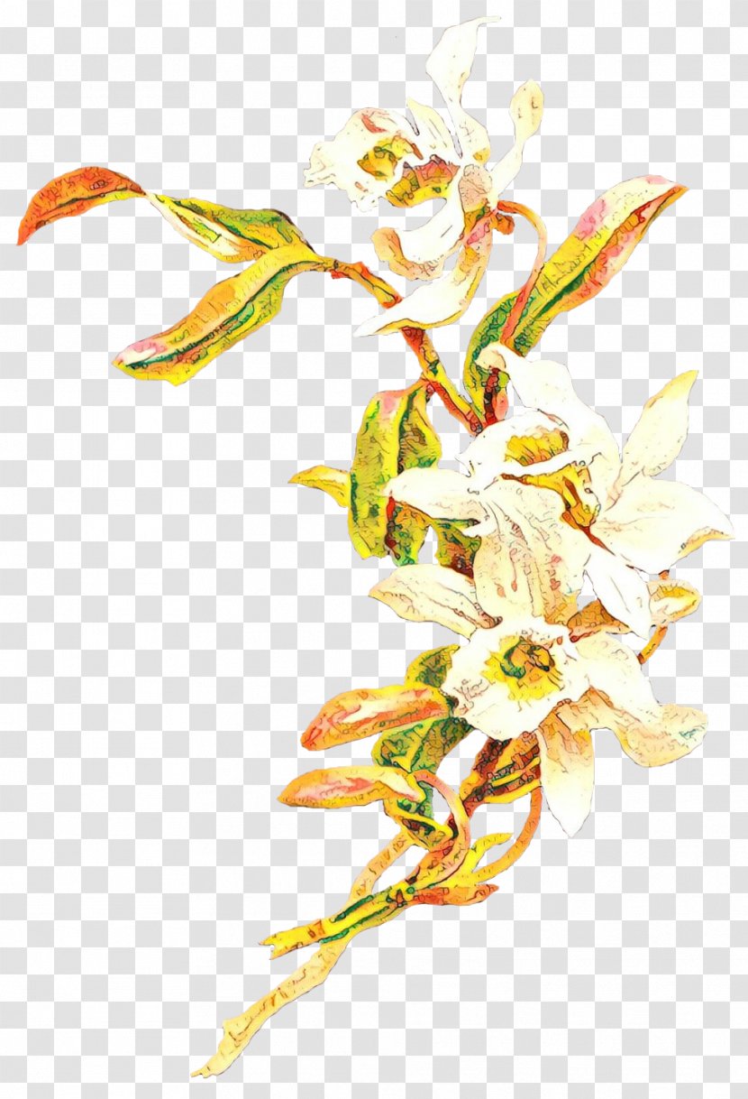 Flower Plant Pedicel Flowering Transparent PNG