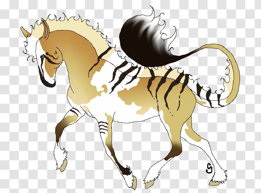 Mane Foal Stallion Mustang Colt - Equestrian Transparent PNG