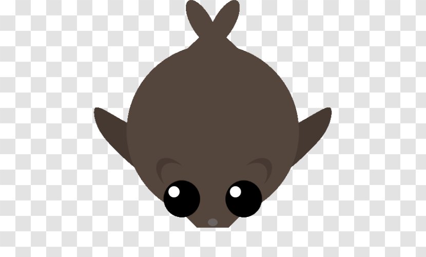 Whiskers Cat Bat Dog Snout Transparent PNG