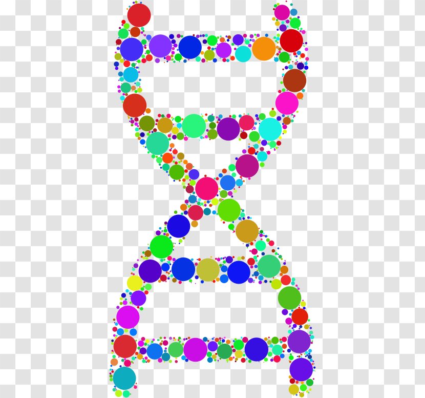 Nucleic Acid Double Helix Circle DNA Clip Art - Dna Transparent PNG