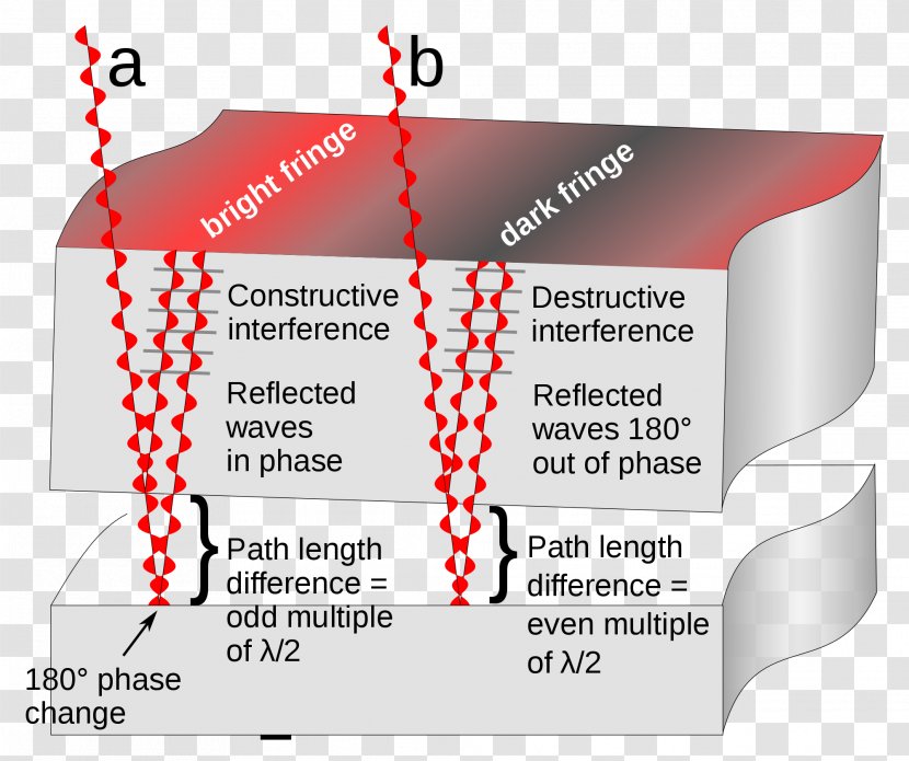 Newton's Rings Light Wave Interference Optics - Physics Transparent PNG