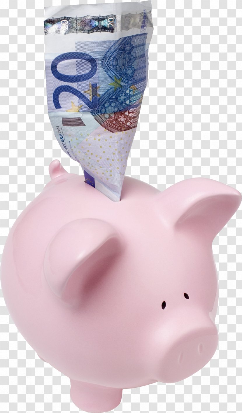 Money Paper Coin Domestic Pig Piggy Bank Transparent PNG