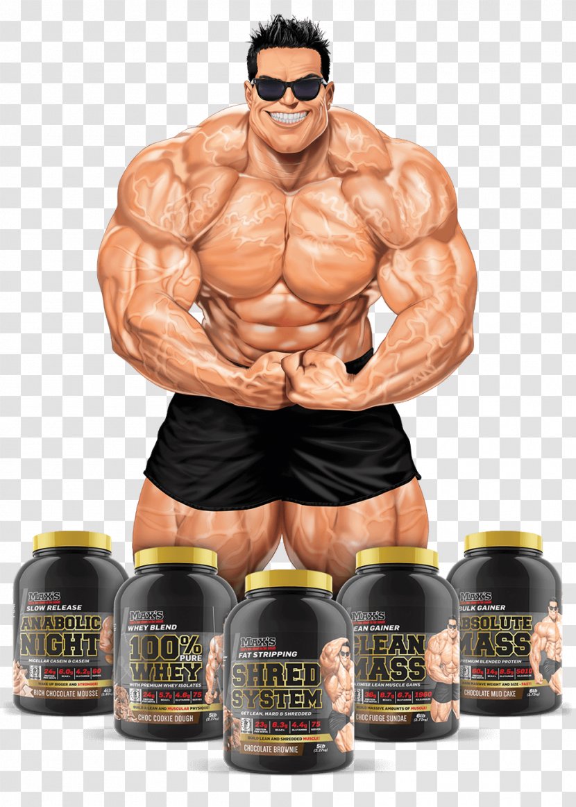 Bodybuilding Creatine Mass Anabolism - Muscle Transparent PNG