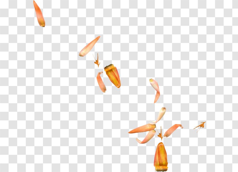 Petal - Yellow - Falling Leaves Floating Debris Transparent PNG