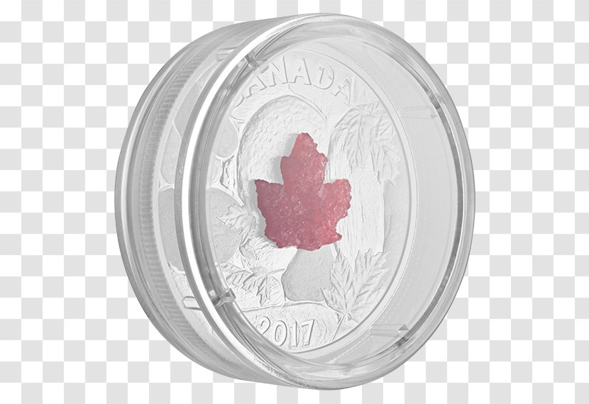 Silver Circle - Royal Canadian Mint Transparent PNG