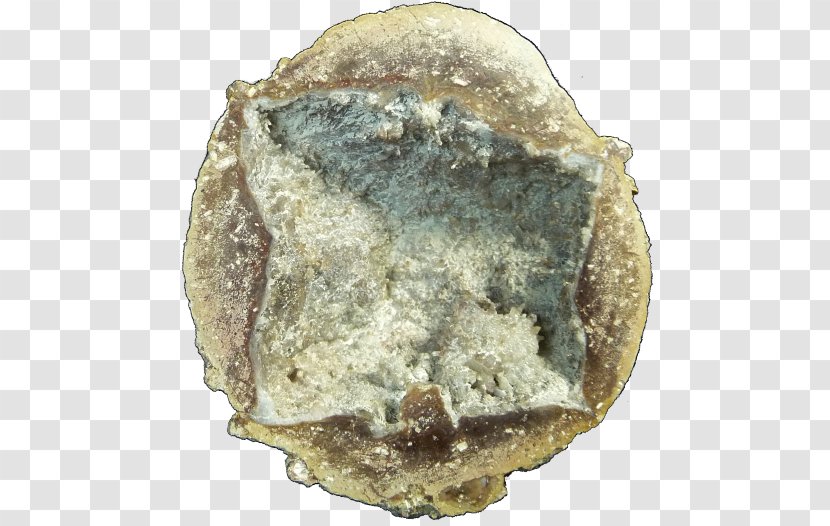 Mineral Thunderegg Artifact Sales Crystal - Opal Geode Transparent PNG