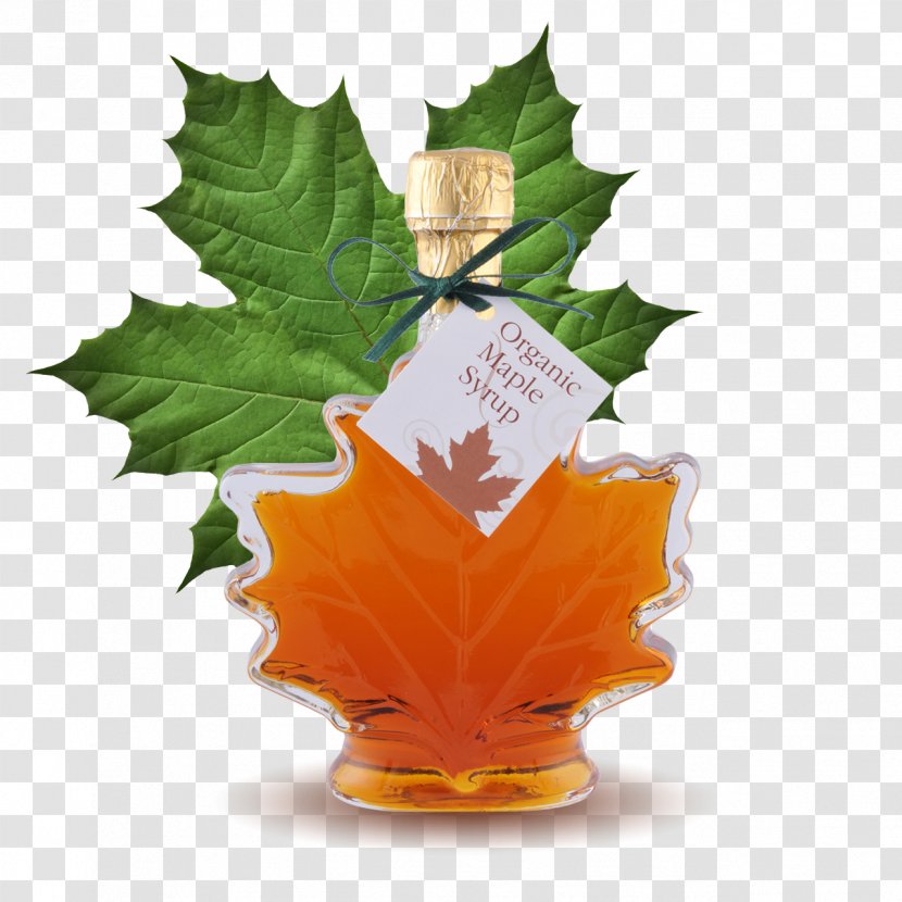 Canadian Cuisine Maple Syrup Pancake French Toast - Ingredient - Sugar Tree Leaf Transparent PNG