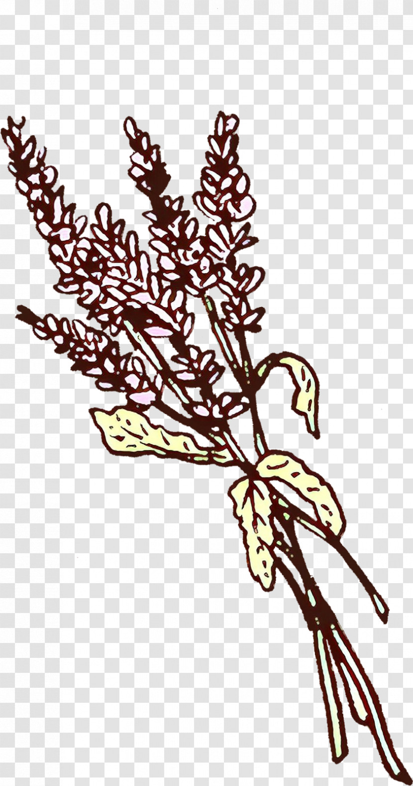 Plant Leaf Twig Flower Branch Transparent PNG