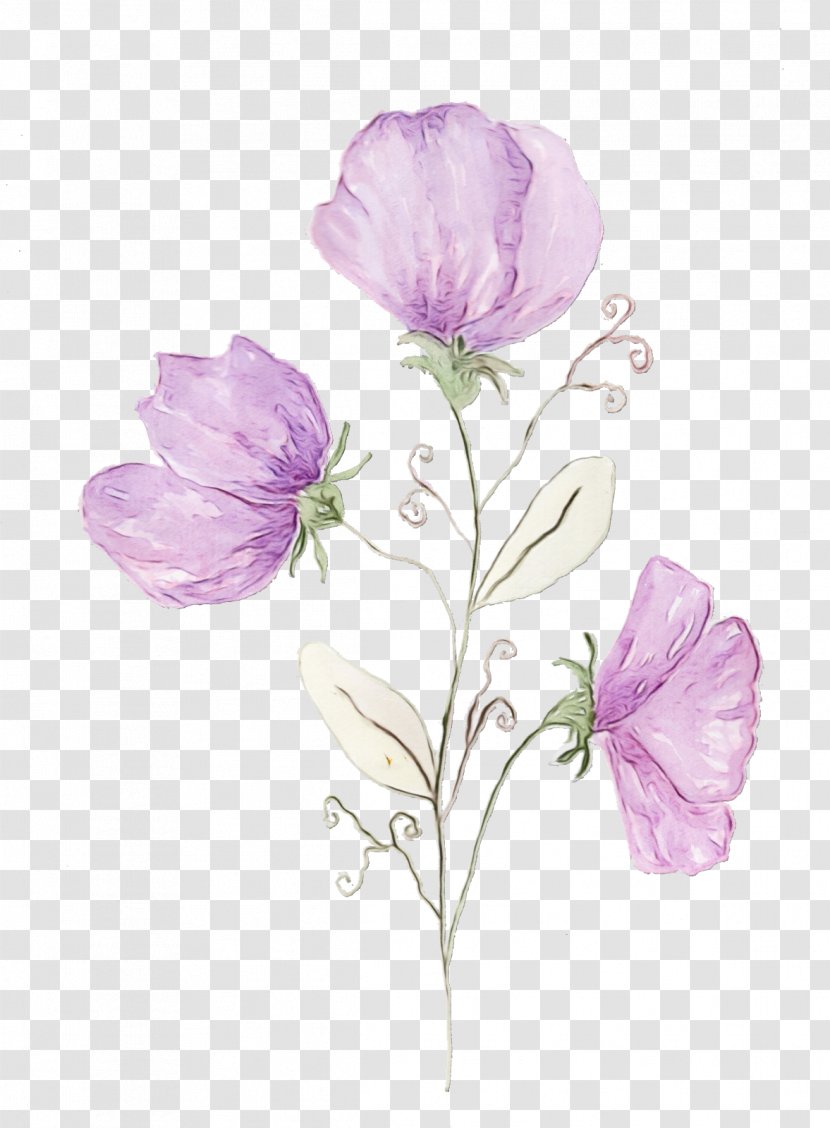 Purple Watercolor Flower - Petal - Prickly Rose Wildflower Transparent PNG