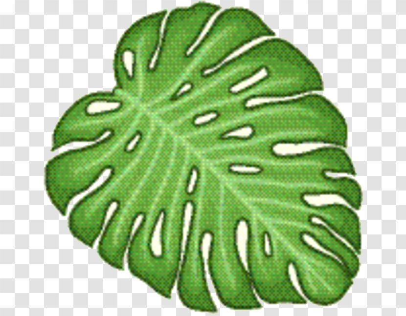 Green Leaf Background - Plant Monstera Deliciosa Transparent PNG