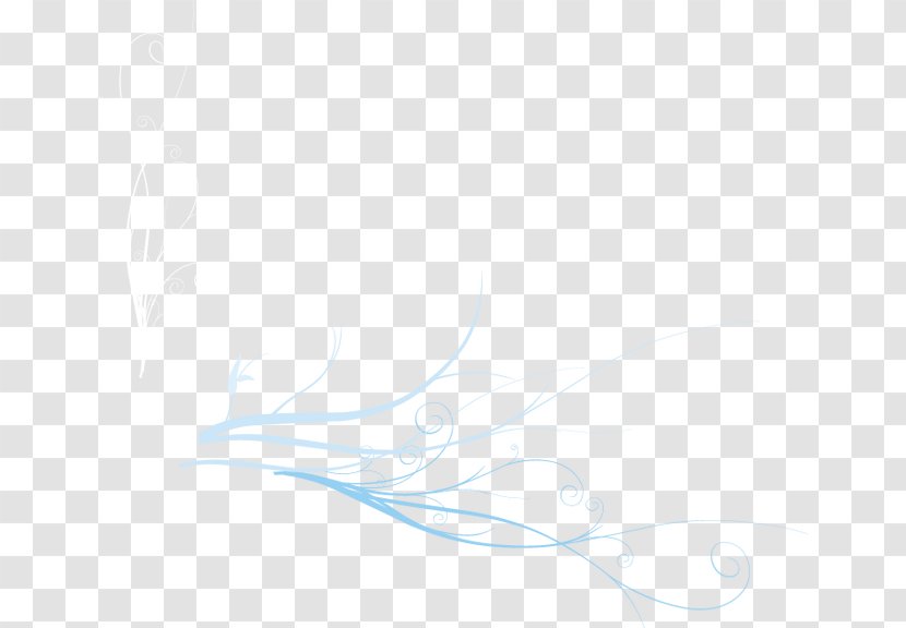 Feather Desktop Wallpaper Sky Close-up Font - White - Line Transparent PNG