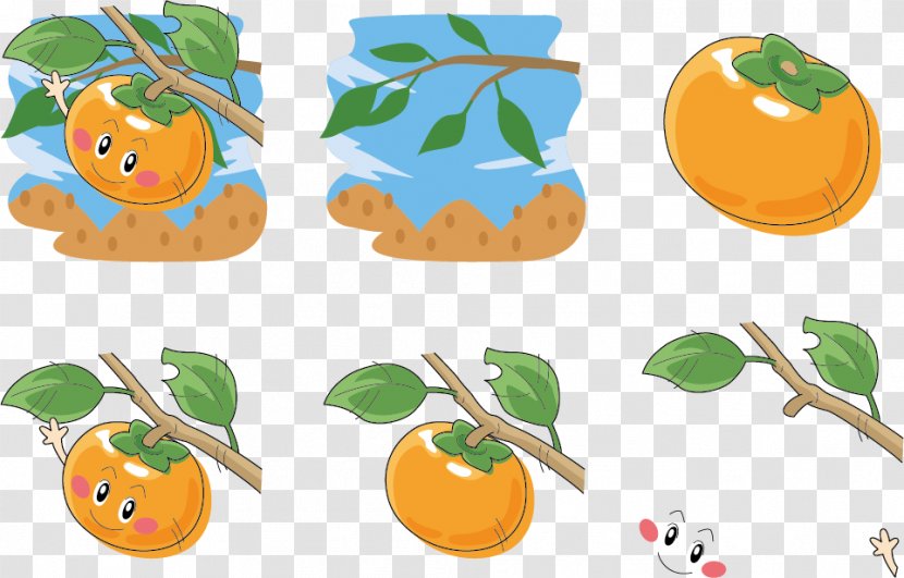 Persimmon Tree Expression Vector - Cartoon Transparent PNG