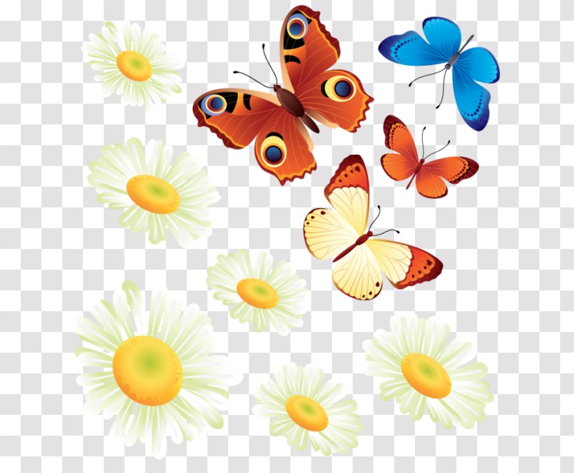 Monarch Butterfly Clip Art - Invertebrate Transparent PNG