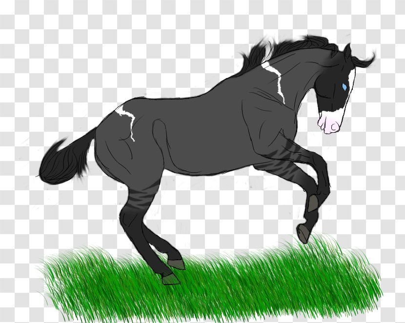 Mane Mustang Pony Stallion Mare - Horse Like Mammal Transparent PNG