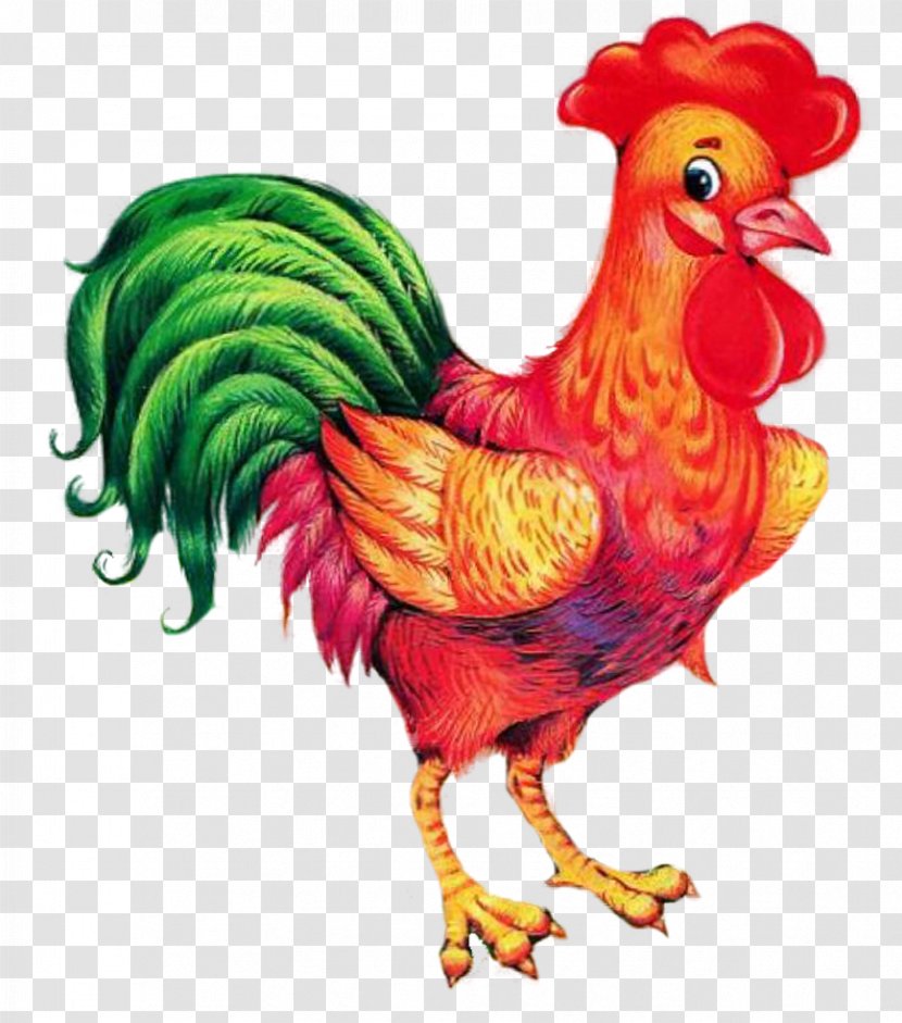 Rooster Chicken Drawing - Bird - Cock Transparent PNG