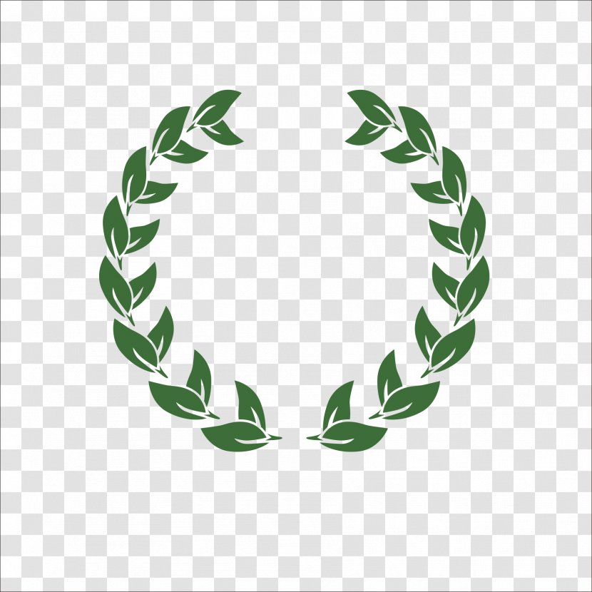 Laurel Wreath - Grass - Olive Branch Transparent PNG