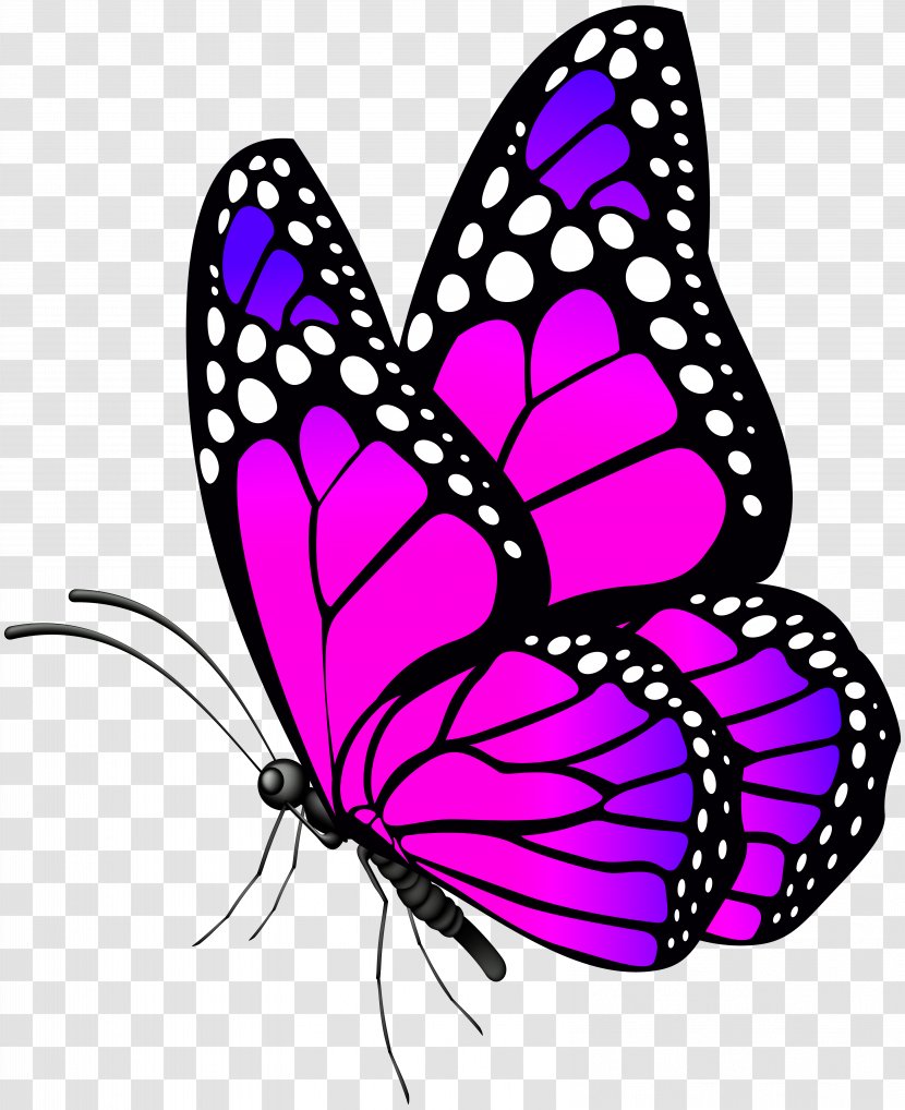 Monarch Butterfly Clip Art - Flower - Pink Image Transparent PNG