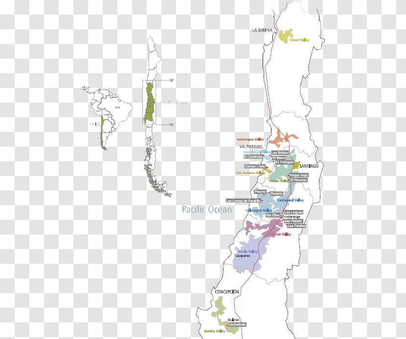 Map Water Line - Tree - Design Transparent PNG