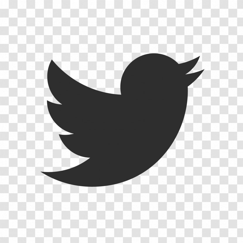 Social Media - Beak - Wing Transparent PNG