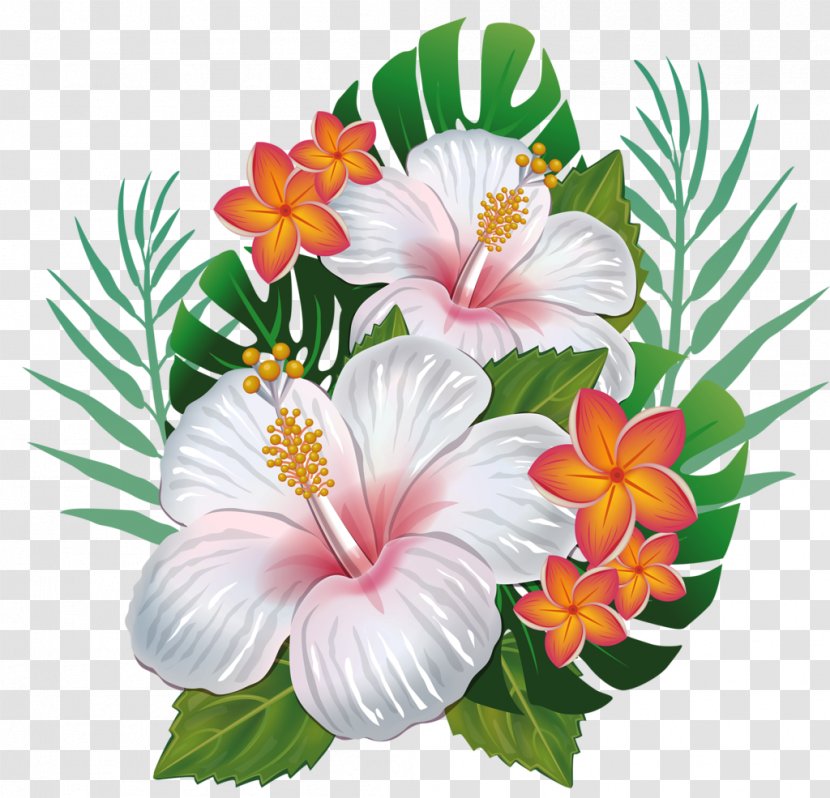 Hawaiian Hibiscus Flower Clip Art - Floristry Transparent PNG