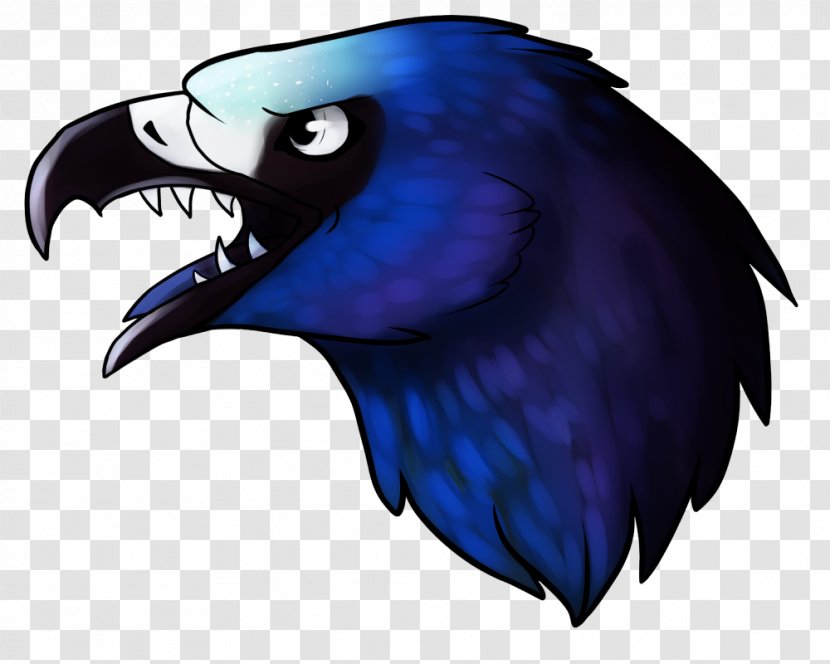 Bird Of Prey Cobalt Blue Beak Feather Transparent PNG