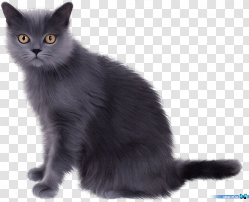 Persian Cat Kitten Pet Sitting Clip Art - Black - Whisk Transparent PNG