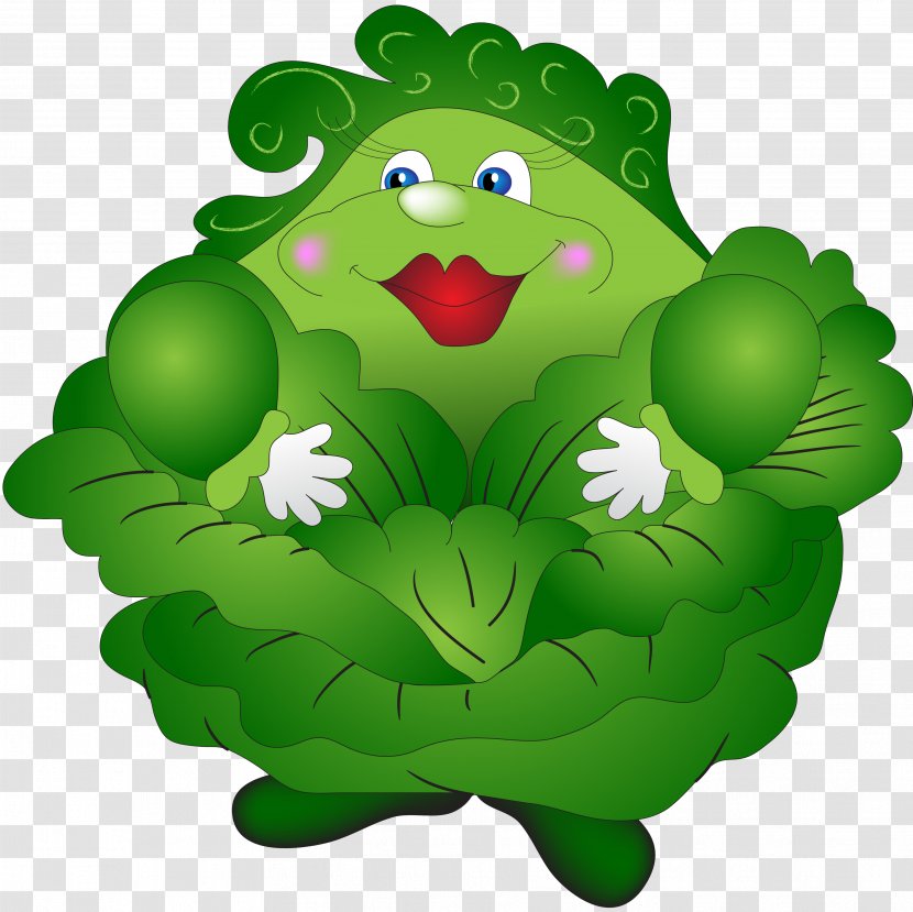 Red Cabbage Kapusta Kiszona Duszona Vegetable Clip Art - Green Transparent PNG