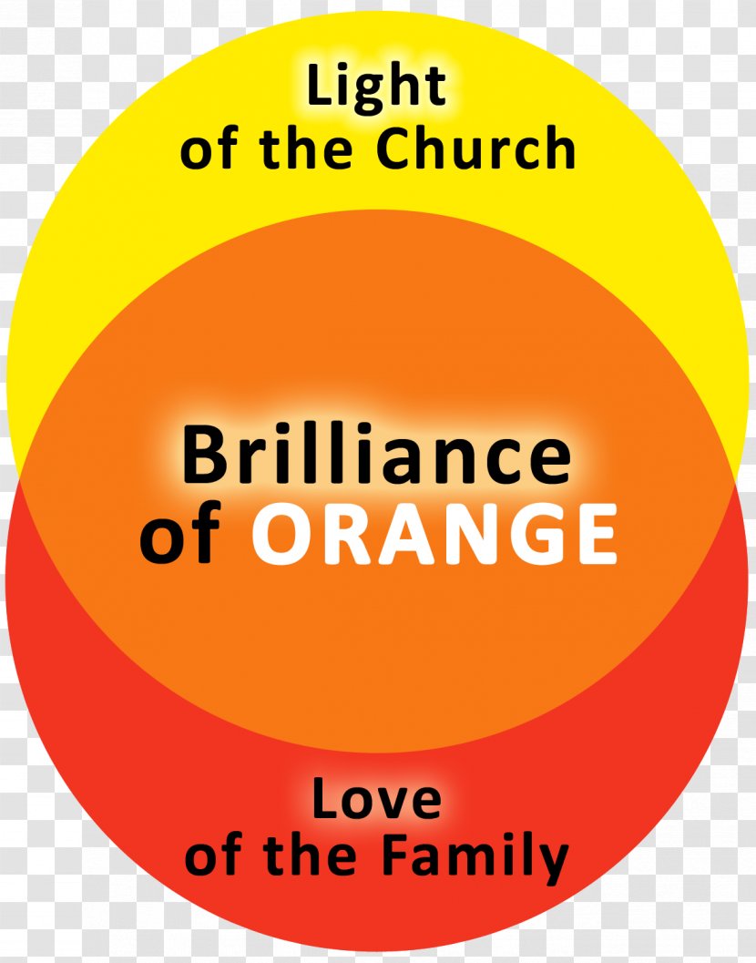 Logo School Brand Font - Orange Transparent PNG