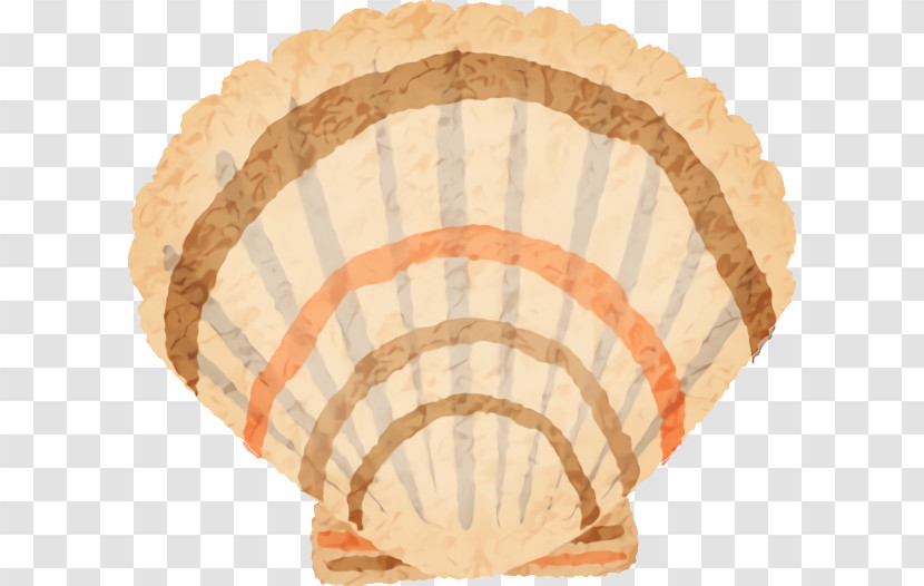 Orange Transparent PNG