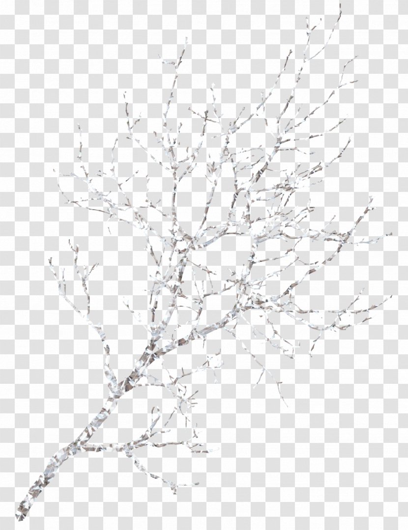 Snow Winter Symmetry Line Art Pattern - Monochrome - Snow-covered Branches Transparent PNG