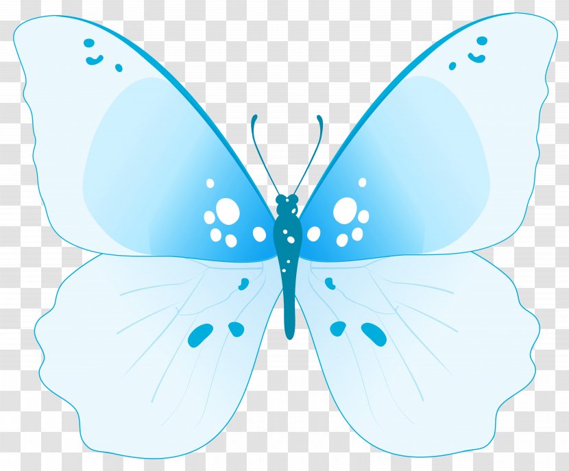 Butterfly Insect Clip Art - Turquoise - Blue Transparent PNG