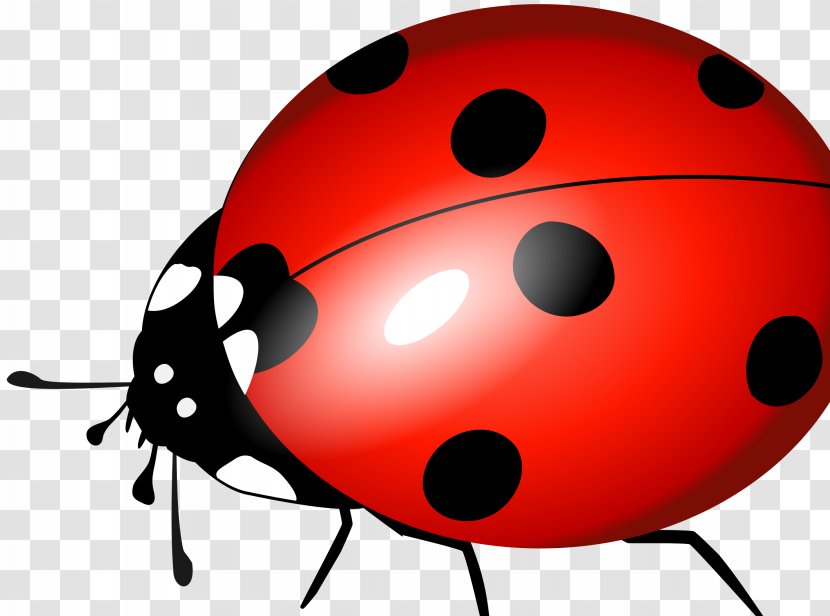 Pediatric Dentistry Greenpoint Clip Art - Cartoon - Ladybird Transparent PNG