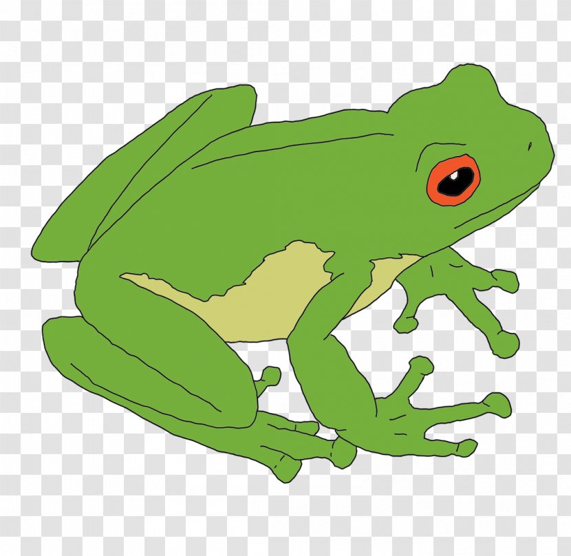 True Frog Toad Clip Art Illustration - Amphibian Transparent PNG