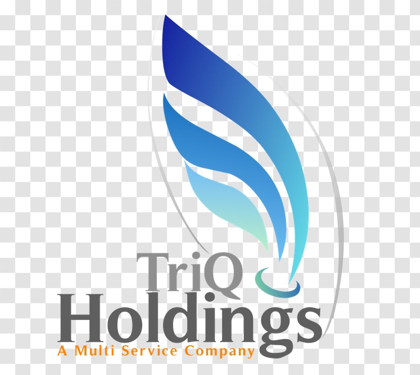 Organization Limited Company Service Strategy Business Case - Small - Brasshards Holdings Pty Ltd Transparent PNG