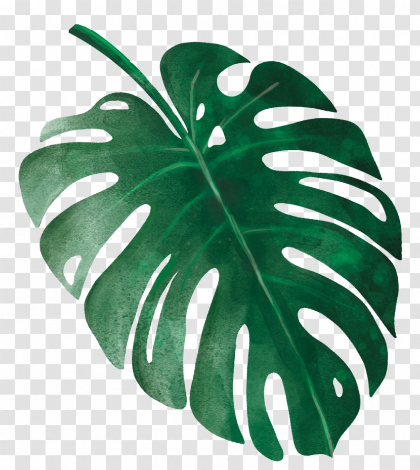Tropical Leaves Quilt - Silhouette - Plants Transparent PNG