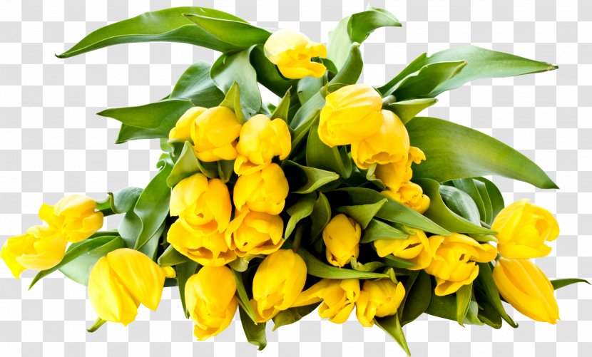 Desktop Wallpaper Yellow Tulip Color Transparent PNG