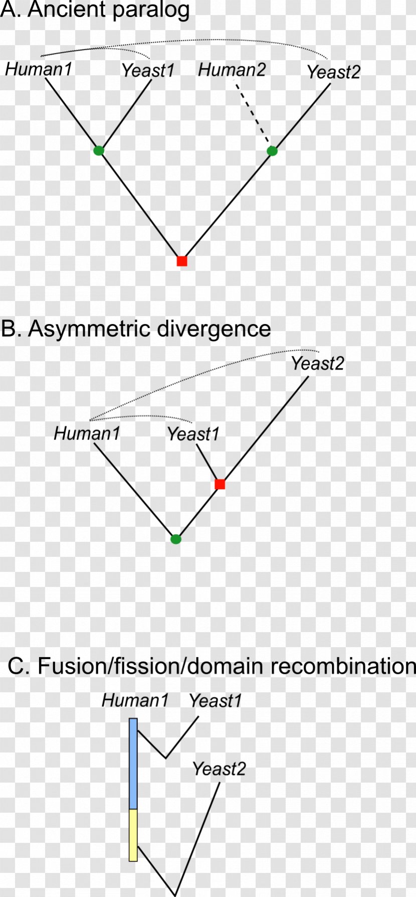 Line Triangle Point Diagram - Parallel Transparent PNG